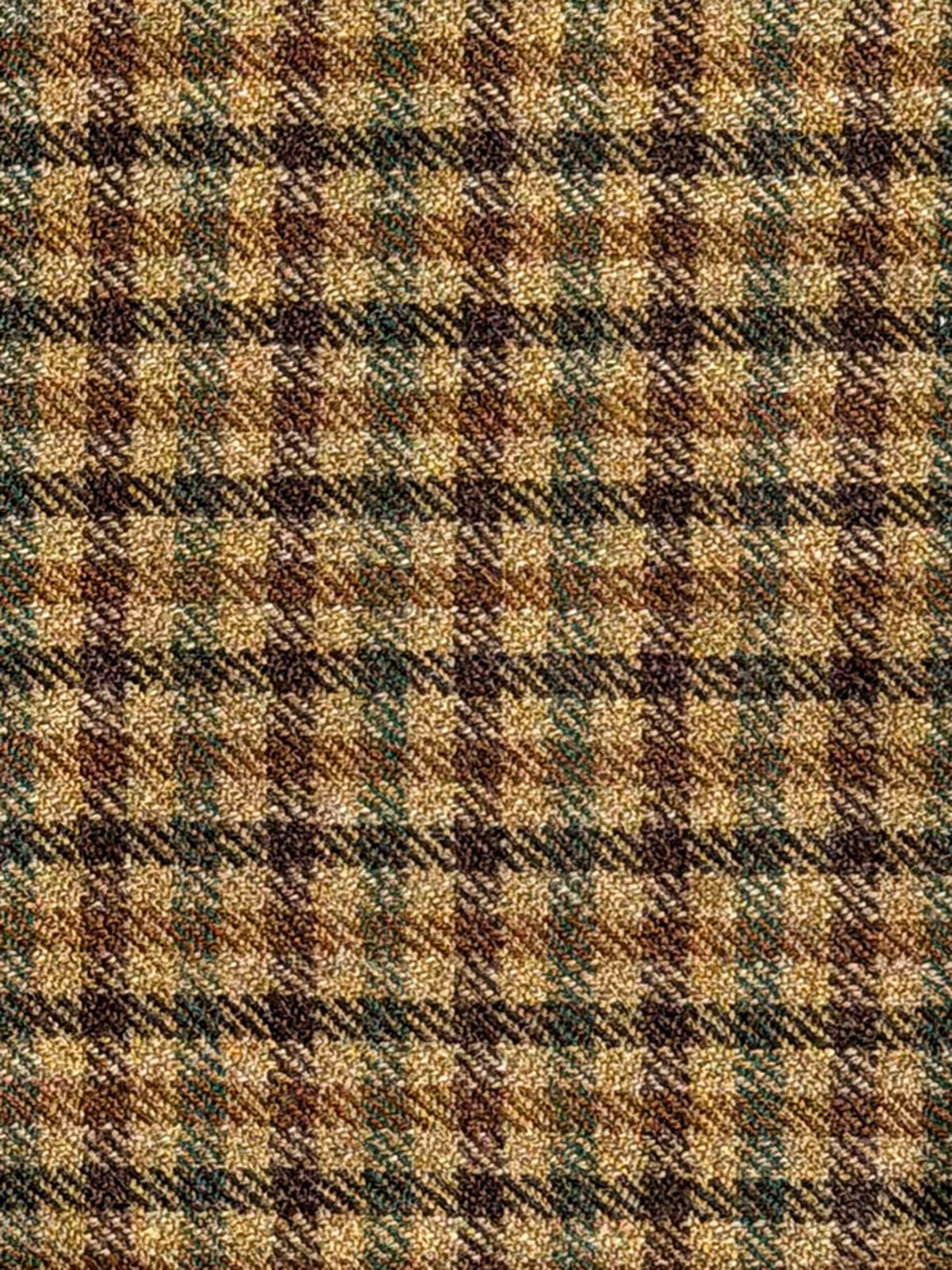 CK Cigar Guncheck Doyle